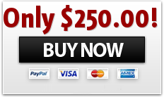 Buy SEO Panel Script