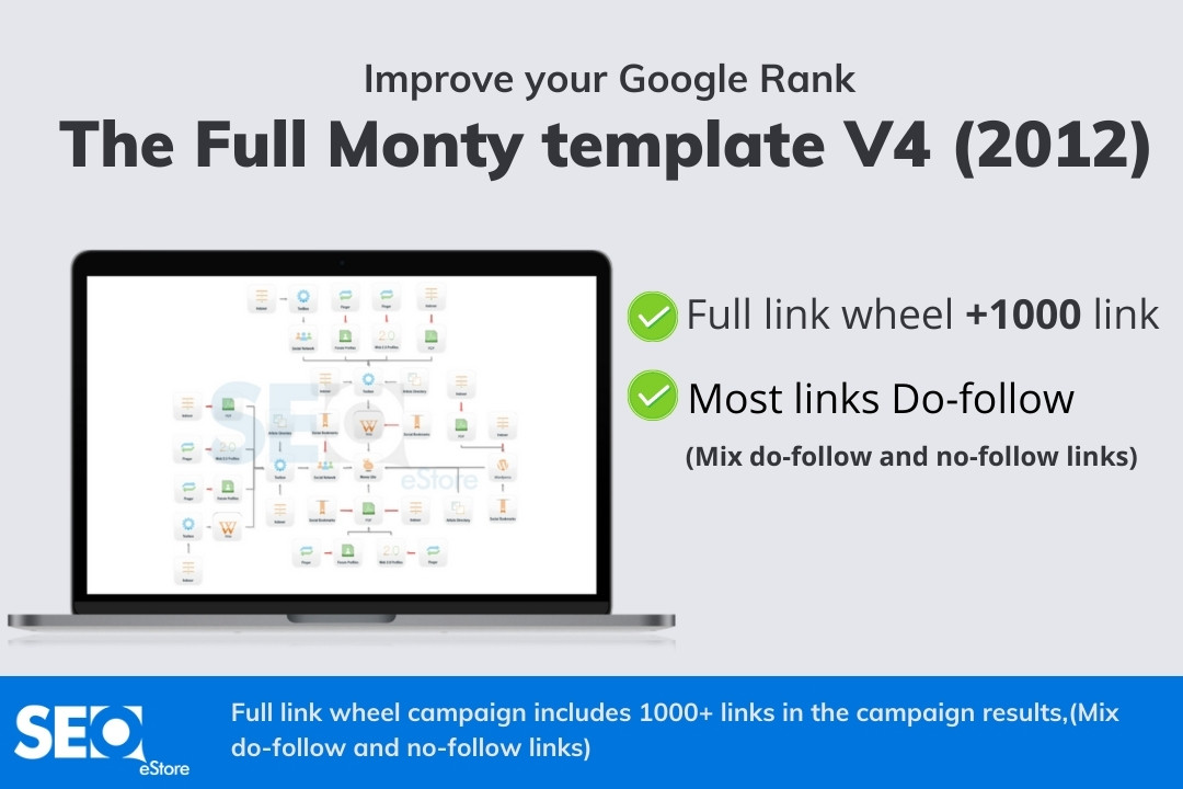 SEnuke - The full monty template V4 (2012) - Campaign