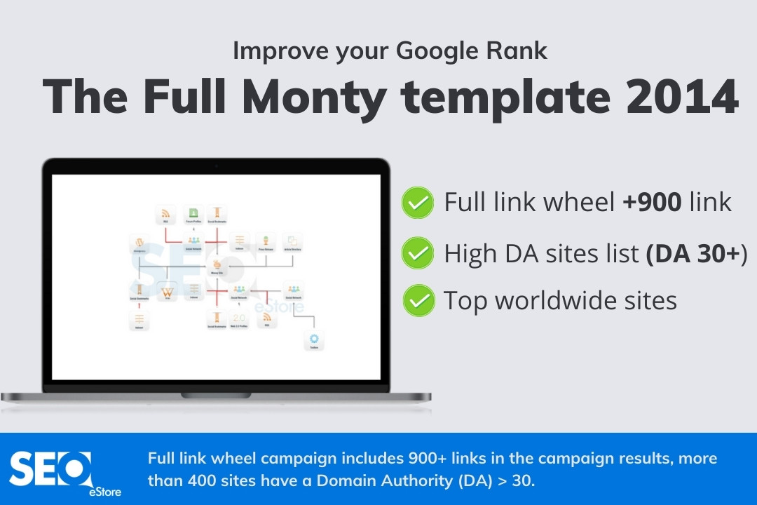 SEnuke - The full monty template 2014 - Campaign