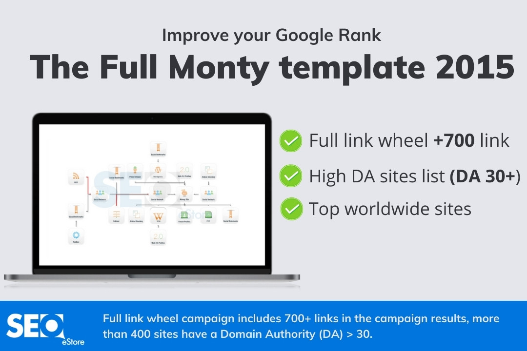 SEnuke - The full monty template 2015 - Campaign